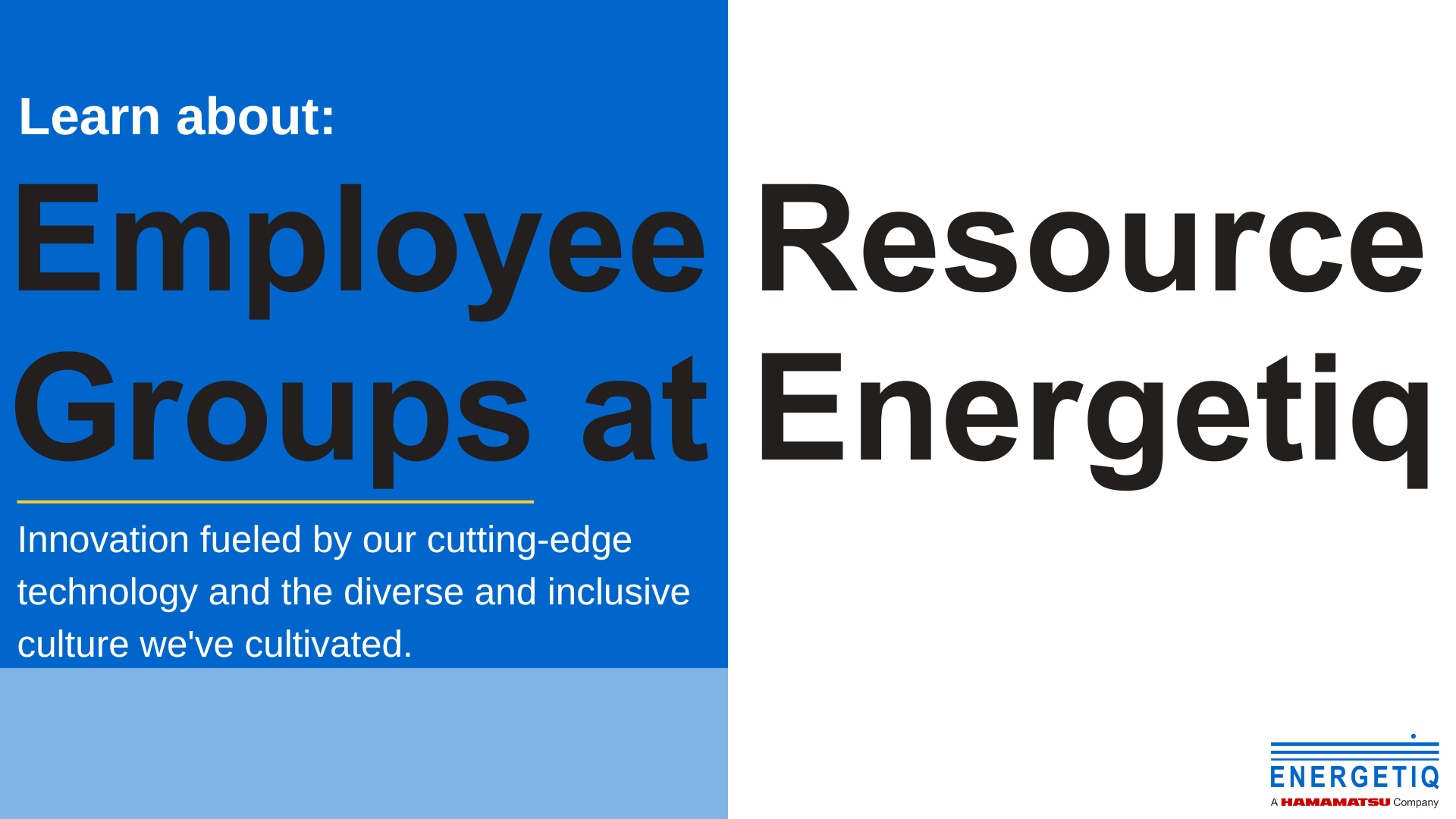 Building a Culture of Belonging: Celebrating Energetiq's Employee